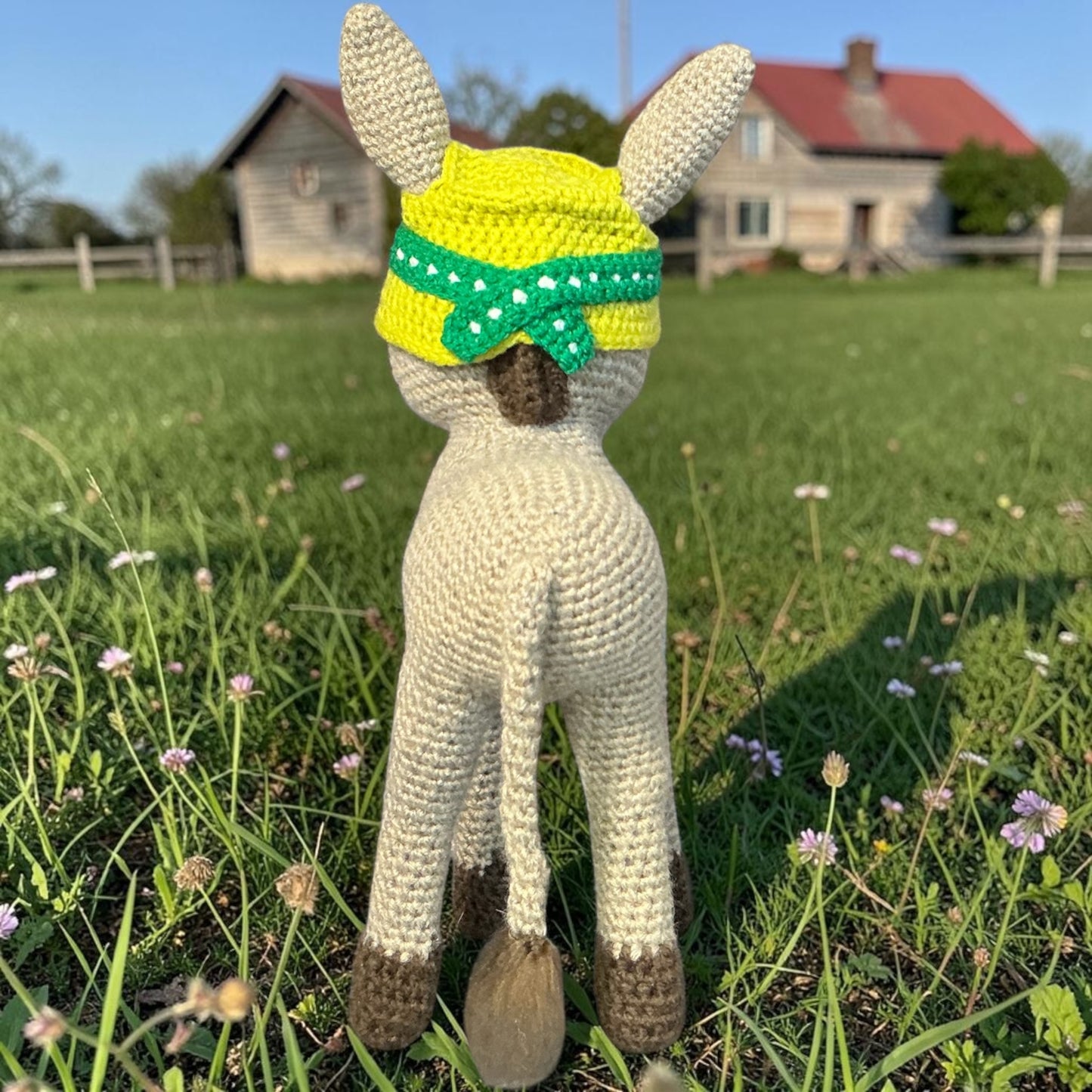 Donkey Dazzle