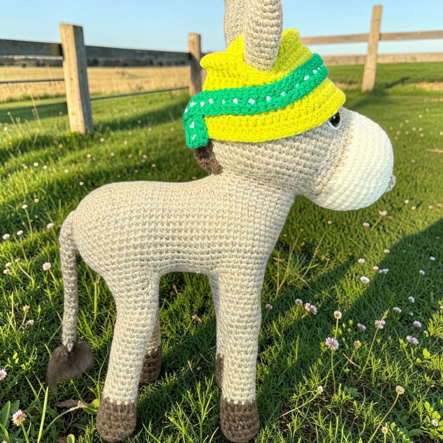 Donkey Dazzle