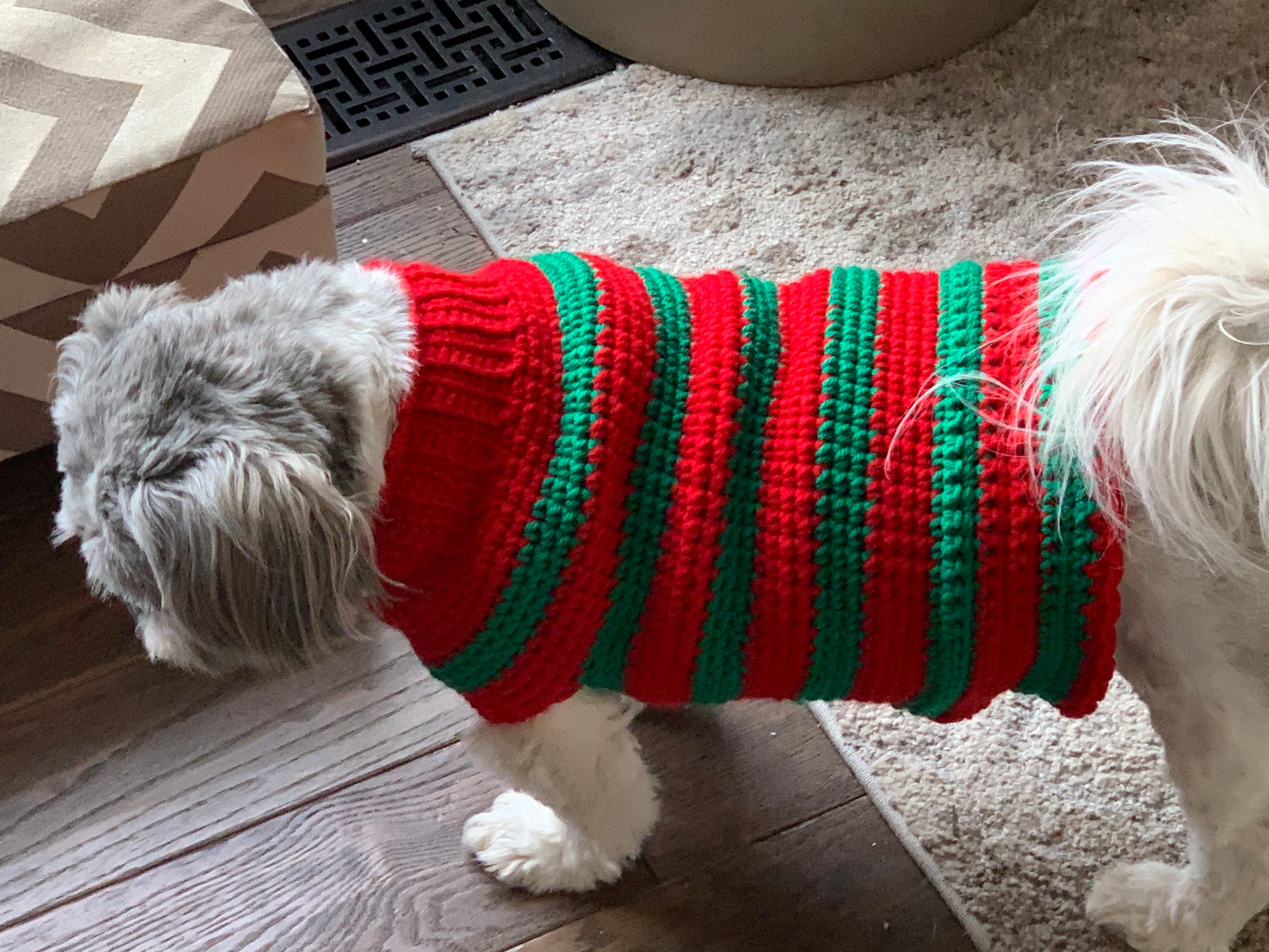 Christmas 2025 bulldog sweater