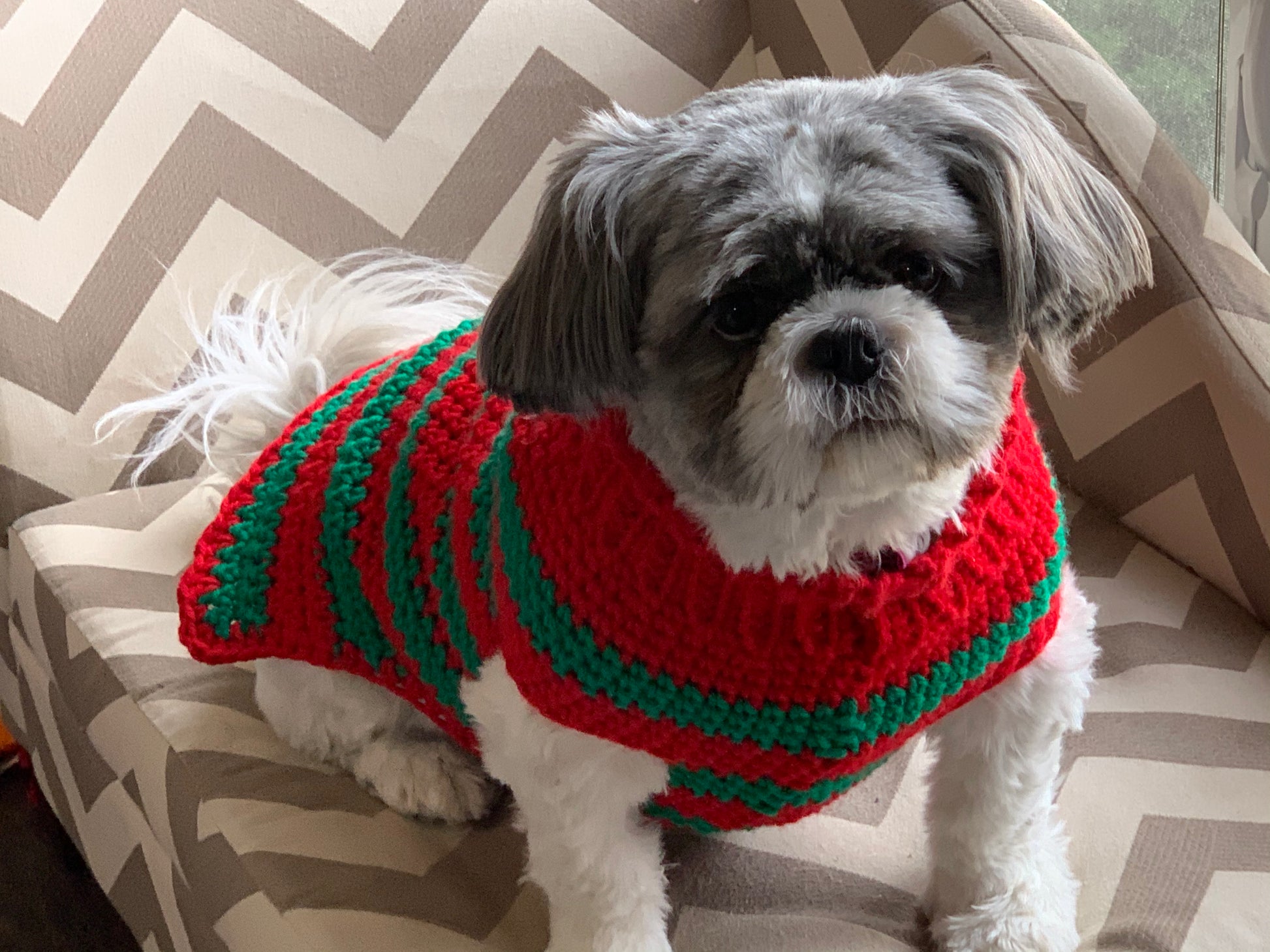 Dog 2025 christmas sweater
